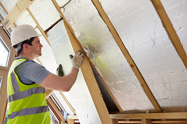 Best Affordable Insulation Services  in Scottville, MI